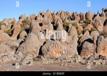 La coulée de lave de Rafu avec ses étranges formations rocheuses, Plateau de Sanetti. Le Parc National des Montagnes de balle, de l'Éthiopie. Banque D'Images