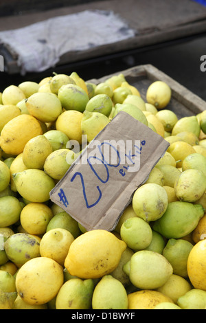 Les citrons en vente sur un étal de fruits au marché de la rue San Fernando, dans la province de Prince, le centre du Chili, Amérique du Sud Banque D'Images