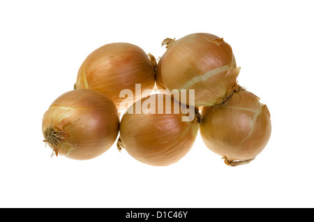 Groupe d'oignons espagnols brown isolated on white Banque D'Images