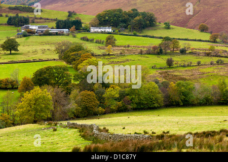 Keskadale et Derwent Fells près de Keswick, Parc National de Lake District. Banque D'Images