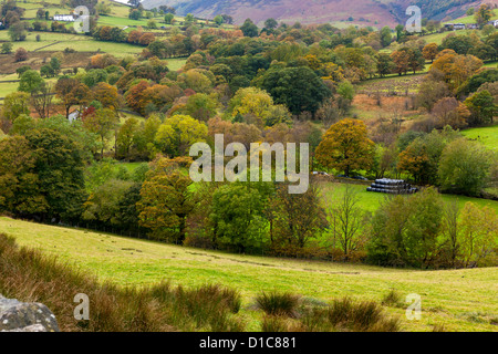 Keskadale et Derwent Fells près de Keswick, Parc National de Lake District. Banque D'Images