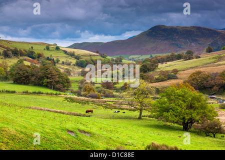 Keskadale et Derwent Fells près de Keswick, Parc National de Lake District. Banque D'Images