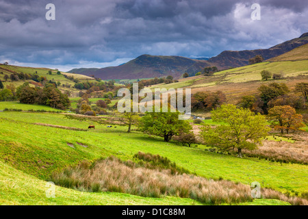 Keskadale et Derwent Fells près de Keswick, Parc National de Lake District. Banque D'Images