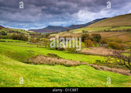 Keskadale et Derwent Fells près de Keswick, Parc National de Lake District. Banque D'Images