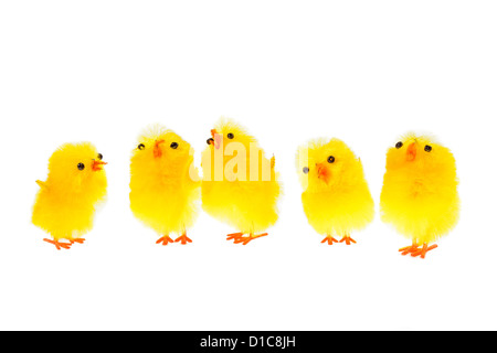 Chicklings jaune, photo sur le fond blanc Banque D'Images