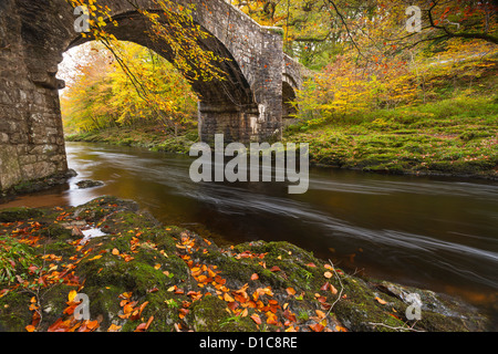 Holne Pont sur la rivière Dart dans le parc national du Dartmoor. Banque D'Images