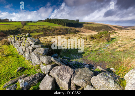 Vallée de la rivière Dart ouest près de deux ponts dans le Parc National de Dartmoor. Banque D'Images