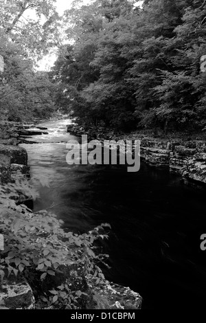 Image panoramique d'été, la Rivière Tees, Upper Teesdale, comté de Durham, Angleterre, Grande-Bretagne, Royaume-Uni Banque D'Images