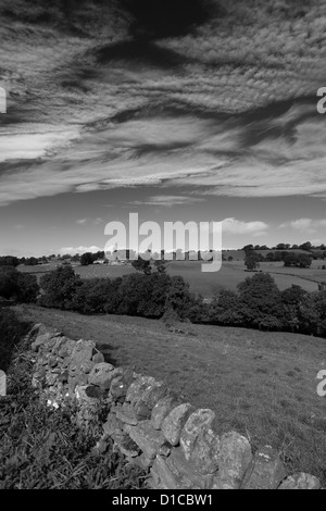 Paysage d'été vue sur Blackton Village, Upper Teesdale, comté de Durham, Angleterre, Grande-Bretagne, Royaume-Uni Banque D'Images