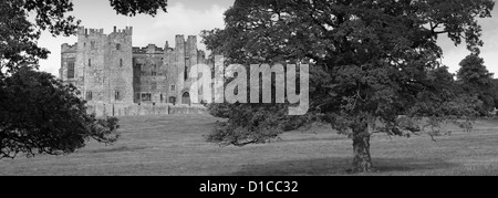 L'été vue paysage de Raby Castle, la région de Teesdale, comté de Durham, Angleterre, Grande-Bretagne, Royaume-Uni Banque D'Images