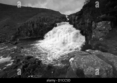 Image panoramique en noir et blanc, museau chaudron cascade, fleuve Tees, Maison du Maure Réserve naturelle nationale, la région de Teesdale, Banque D'Images