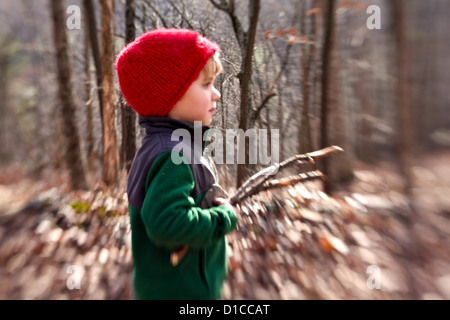 Petit garçon en molleton et red hat passe une randonnée et la collecte de bois de feu Banque D'Images