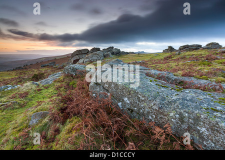 Les roches de granit sur la lande à Hayne vers le bas dans le parc national du Dartmoor. Banque D'Images