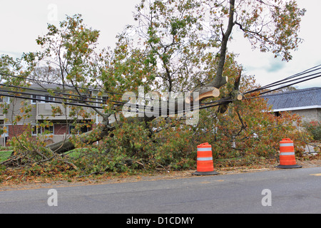 La tempête de l'ouragan Sandy Smithtown Long Island NY Banque D'Images