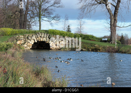 Cusworth Hall Lake, Scawsby, Doncaster Banque D'Images