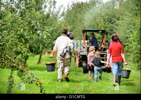 La fabrication du cidre à Broome Farm, près de Ross-on-Wye, au Royaume-Uni, où il y a un camping et dégustation à la recherche de préparateurs de apple Banque D'Images
