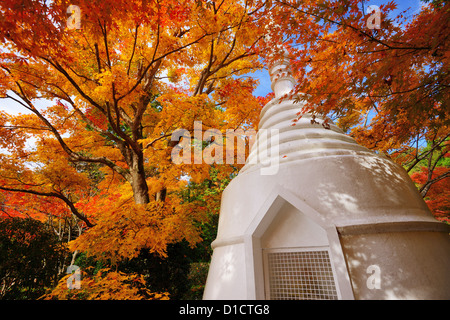 Au cours de l'automne de la pagode à Ryuan-ji temple à Kyoto, au Japon. Banque D'Images