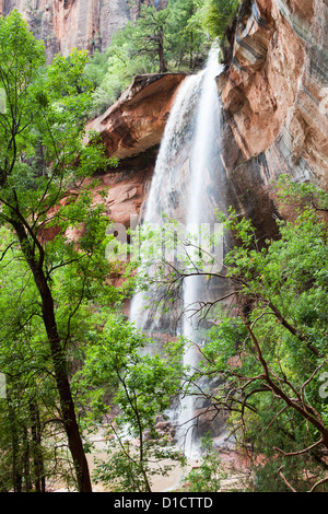 Emerald Pool inférieur, Zion NP, de l'Utah Banque D'Images