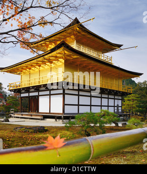 Temple Kinkakuji du pavillon d'Or à Kyoto, au Japon. Banque D'Images