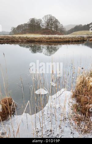 La glace hivernale et réflexions sur Elterwater Beck près de Great Langdale, Parc National de Lake District, Cumbria, Angleterre, Royaume-Uni Banque D'Images