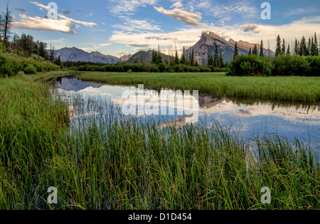 Marsh grass entourant un reflet parfait des montagnes rocheuses dans les lacs Vermilion. Banque D'Images