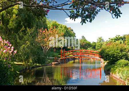Jardin japonais avec un pont voûté reflète dans l'eau bleue de l'étang / flux entre les arbres et arbustes à fleurs décoratives Banque D'Images