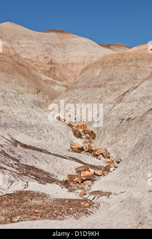 Dans les journaux de pétrifiée dans Blue Mesa la Forêt Pétrifiée en Arizona, États-Unis Banque D'Images