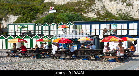 Beach Cafe, la bière, l'est du Devon, UK Banque D'Images