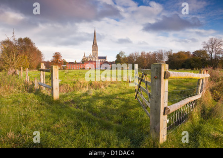 La cathédrale de Salisbury et l'ouest de l'eau 68 London meadows dans le Wiltshire, Angleterre. Banque D'Images