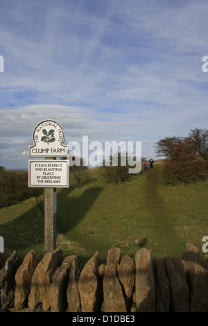 NT touffe ferme sur le Cotswold Way dans l'ombre de Broadway Tower Banque D'Images