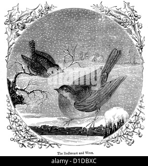 Gravure d'une victorienne Robin Redbreast et un Wren, 1897 Banque D'Images