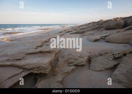 Coquina rock formations le long des côtes de l'océan Atlantique à Washington Oaks Gardens State Park en Floride, USA Banque D'Images