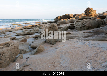 Coquina rock formations le long des côtes de l'océan Atlantique à Washington Oaks Gardens State Park en Floride, USA Banque D'Images