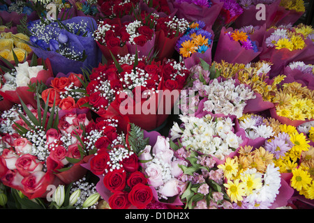 Bouquets de fleurs à vendre dans un marché à Brooklyn, NY. Banque D'Images