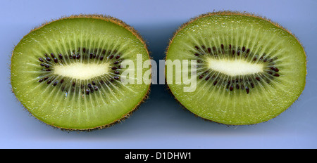 Les kiwis en tranches Banque D'Images