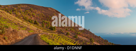 Chemin à travers les plantations de vigne vers San Antonio Volcano, Los Quemados, Fuencaliente, La Palma, El Hierro avec visible Banque D'Images