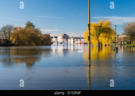 La rivière Nene dans des inondations en novembre 2012 dans le centre de l'Peterboroiugh, Cambridgeshire, Angleterre Banque D'Images