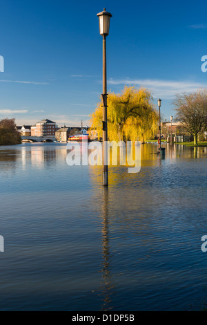 La rivière Nene dans des inondations en novembre 2012 dans le centre de l'Peterboroiugh, Cambridgeshire, Angleterre Banque D'Images