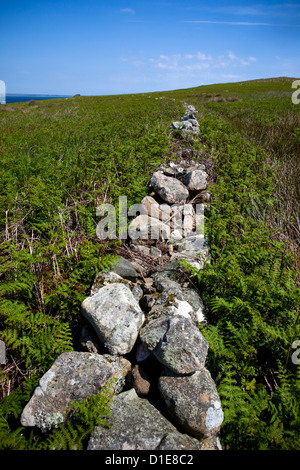 Great Saltee, la plus grande des îles Saltee, au large de la côte de Co Wexford, Irlande. Banque D'Images