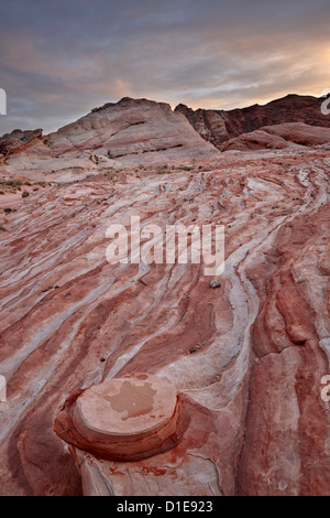 Les couches de grès rouge et blanc avec des nuages au coucher du soleil, la Vallée de Feu State Park, Nevada, United States of America Banque D'Images