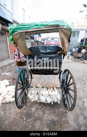 Poulets accrochés par leurs pattes à l'essieu sous l'exécution de rickshaw à New Market, Kolkata, Bengale occidental, Inde, Asie Banque D'Images