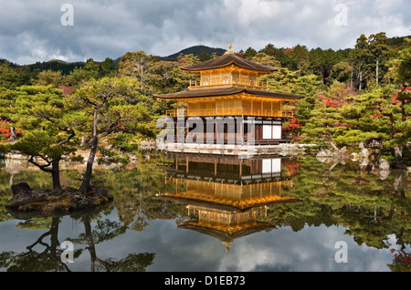 Vue d'automne du temple Kinkaku-ji (le Pavillon d'or), Kyoto, Japon. Il a été fondé en 1397, bien que le pavillon ait été reconstruit en 1955 après un incendie Banque D'Images