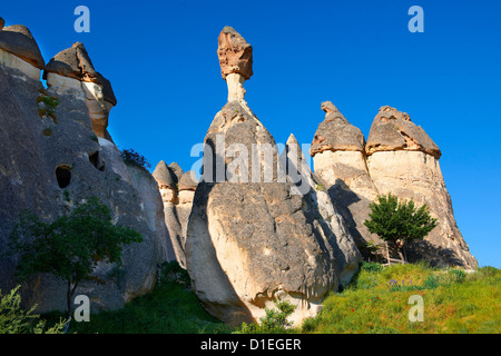 Des formations de roche volcanique de Cappadoce Turquie touffe Banque D'Images