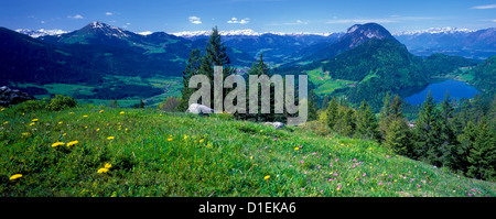 Alpes de Kitzbühel, Tyrol, Autriche Banque D'Images