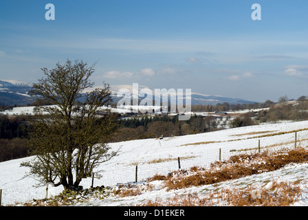 Voir recherche de la vallée de l''Usk de Mynydd Black Lion Guest House, Sugaroaf, Abergavenny, parc national de Brecon Beacons, Powys, Pays de Galles. Banque D'Images