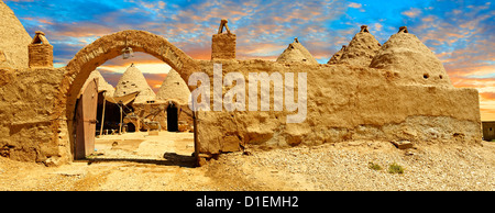 Photos de la ruche adobe bâtiments du centre culturel Harran, au sud-ouest de l'Anatolie, la Turquie. Banque D'Images