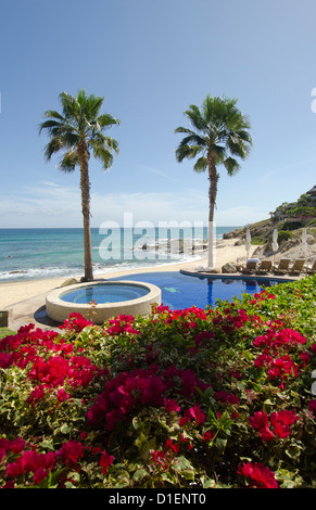 Cabo San Lucas donne sur l'océan Pacifique destination populaire pour les touristes à la recherche d'hôtels de luxe, restaurants et sports nautiques Banque D'Images