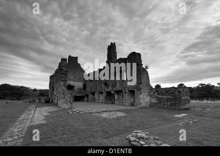 Image panoramique en noir et blanc, les ruines de l'abbaye Egglestone, près de Barnard Castle Town, comté de Durham, de Teesdale, Angleterre, Brit Banque D'Images