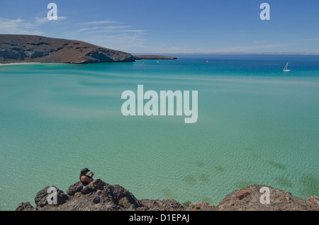 Plage Balandra sur la mer de Cortez au nord de La Paz Baja Sur le Mexique avec ses eaux claires et célèbre mushroom rock Banque D'Images