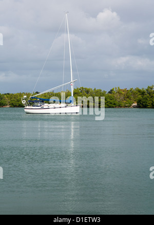 Yachts et bateaux amarrés dans le port sans nom dans le Bill Baggs Cape Florida State Park Key Biscayne Miami Banque D'Images